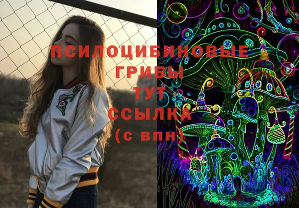 молекула духа Надым