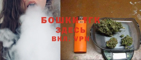молекула духа Надым