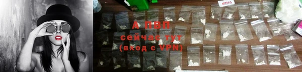 сатива Михайловка