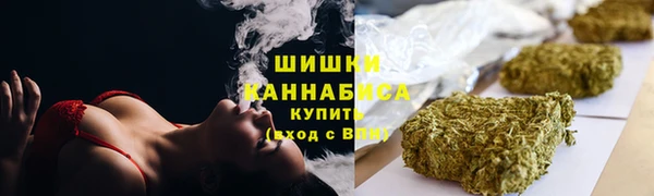 сатива Михайловка