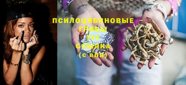 МДПВ Михайлов
