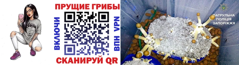 Псилоцибиновые грибы GOLDEN TEACHER  Щёкино 